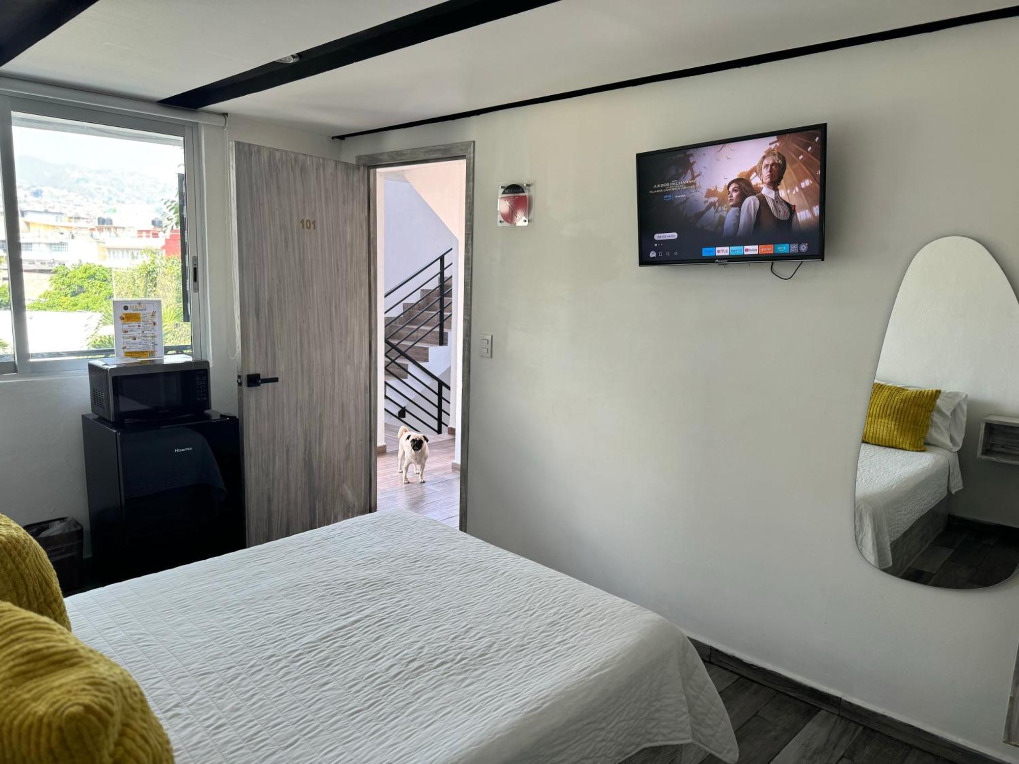 Hotel Daba Boulevard Чильпансинго-де-лос-Бравос Экстерьер фото